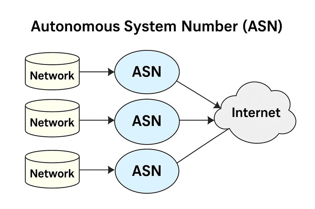 ASN Diagram