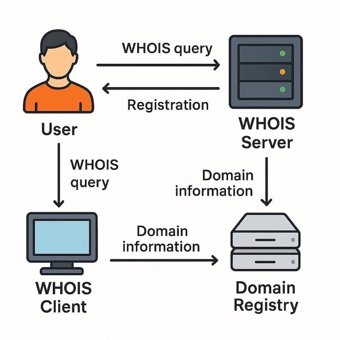 WHOIS Diagram